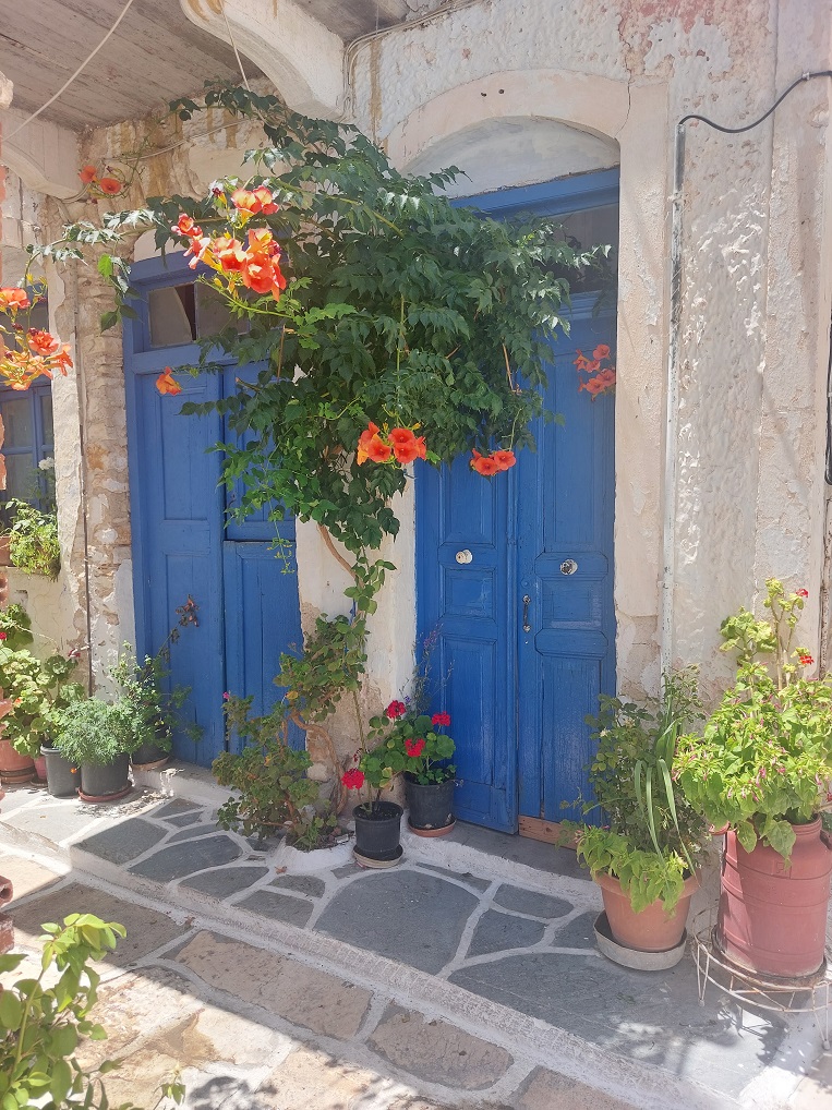 Naxos - Kinidaros - 2023